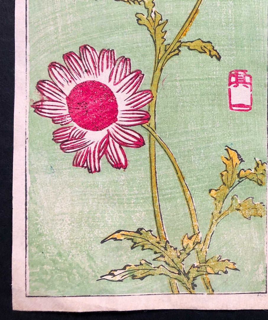  - Harimaze Tsukushi (Snail and Chrysanthemum) - SAKURA FINE ART