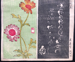  - Harimaze Tsukushi (Snail and Chrysanthemum) - SAKURA FINE ART