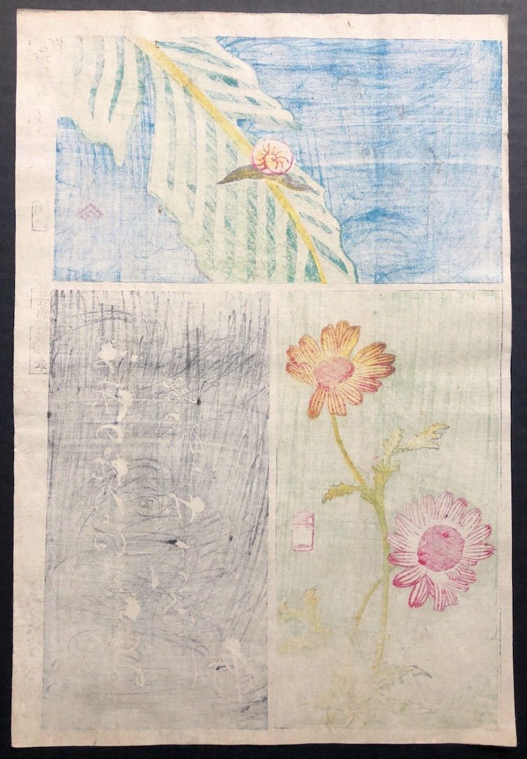  - Harimaze Tsukushi (Snail and Chrysanthemum) - SAKURA FINE ART