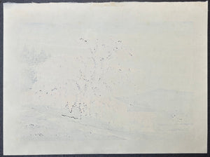 - Haru-ranman no Takizakura (Waterfall Cherry Tree in Spring) - Masao Ido - SAKURA FINE ART