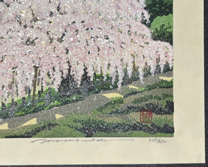 - Haru-ranman no Takizakura (Waterfall Cherry Tree in Spring) - Masao Ido - SAKURA FINE ART