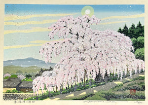 - Haru-ranman no Takizakura (Waterfall Cherry Tree in Spring) - Masao Ido - SAKURA FINE ART