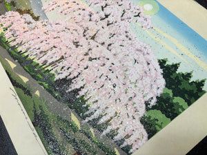 - Haru-ranman no Takizakura (Waterfall Cherry Tree in Spring) - Masao Ido - SAKURA FINE ART