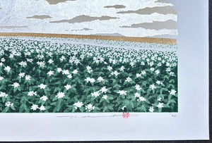  - Hill 3, Potato - Hajime Namiki - SAKURA FINE ART
