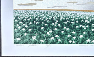  - Hill 3, Potato - Hajime Namiki - SAKURA FINE ART