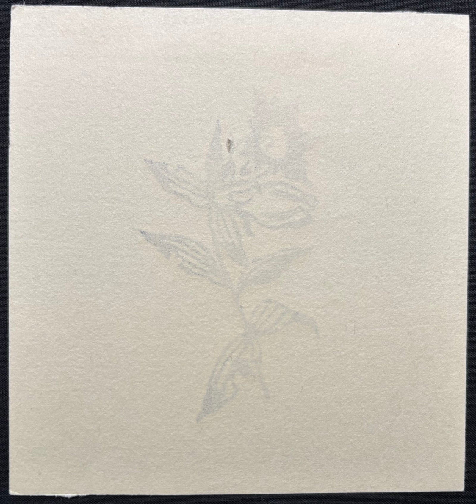  - Hime Rindō (Princess Gentian) - Unichi Hiratsuka - SAKURA FINE ART