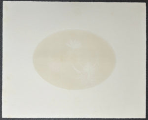 - Honegai no hana (Honegai Flower) - Nobuo Sato - SAKURA FINE ART