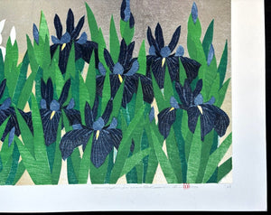  - Iris 78, Kakitsubata - Hajime Namiki - SAKURA FINE ART