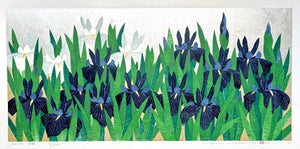  - Iris 78, Kakitsubata - Hajime Namiki - SAKURA FINE ART
