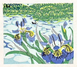  - Irises in May - Kieko Tsurusawa - SAKURA FINE ART