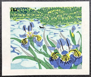  - Irises in May - Kieko Tsurusawa - SAKURA FINE ART