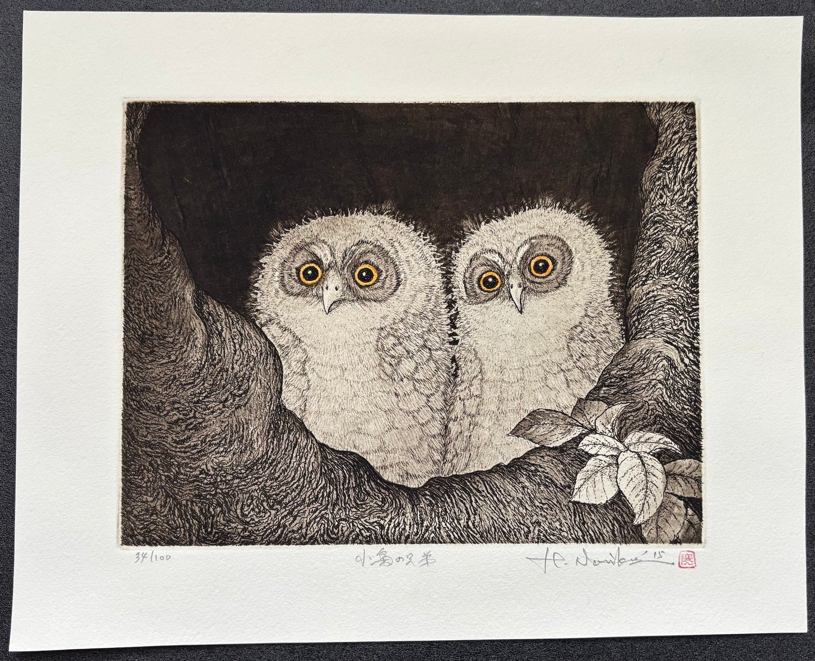  - Kobukuro no Kyodai (Little Owl Brothers) - Hiroto Norikane - SAKURA FINE ART