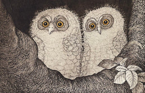  - Kobukuro no Kyodai (Little Owl Brothers) - Hiroto Norikane - SAKURA FINE ART