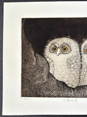  - Kobukuro no Kyodai (Little Owl Brothers) - Hiroto Norikane - SAKURA FINE ART