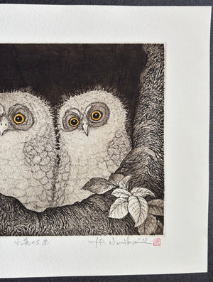  - Kobukuro no Kyodai (Little Owl Brothers) - Hiroto Norikane - SAKURA FINE ART