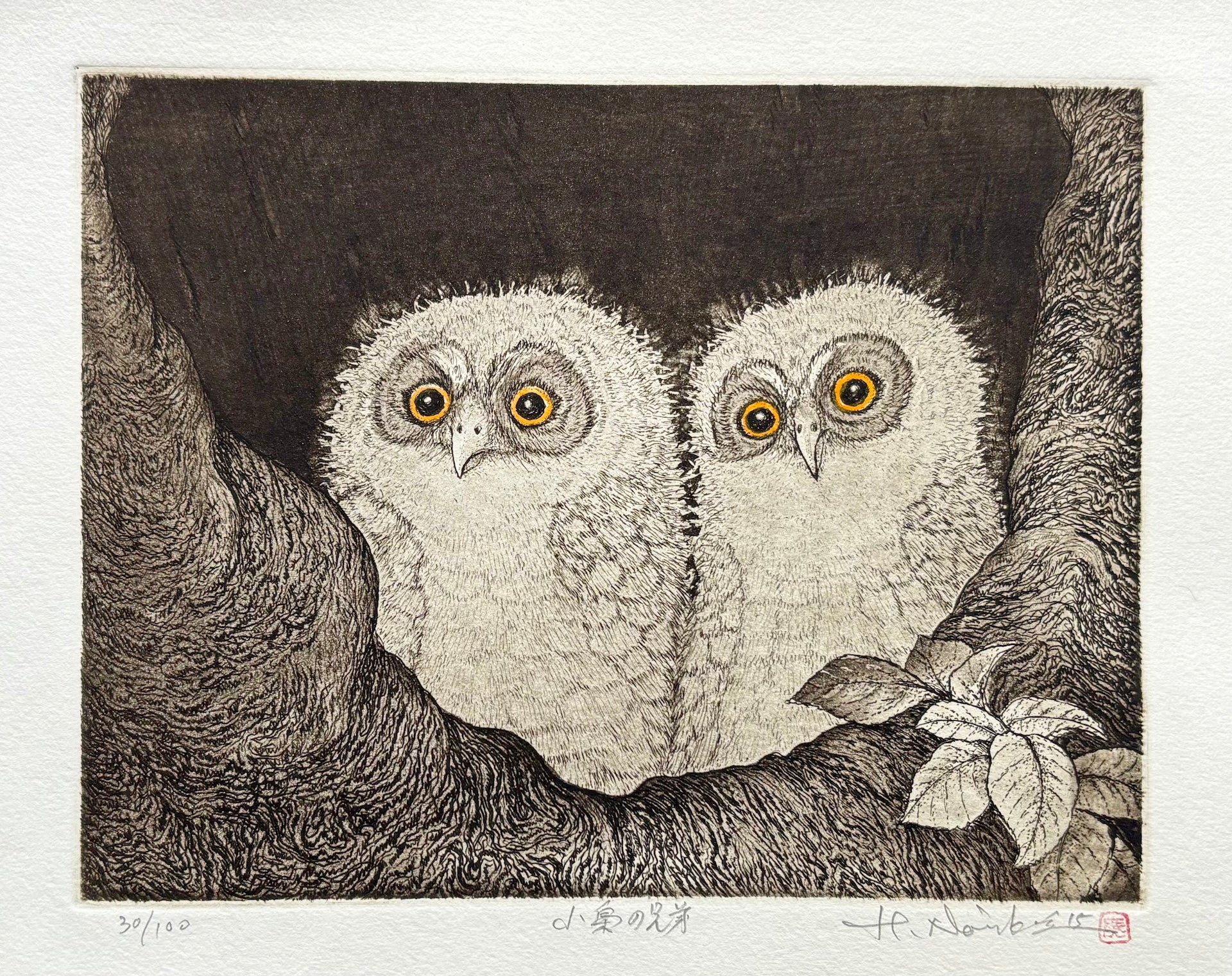  - Kobukuro no Kyodai (Little Owl Brothers) - SAKURA FINE ART