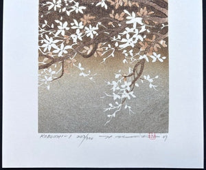  - Kobushi 1 (Kobushi Magnolia 1) - Hajime Namiki - SAKURA FINE ART