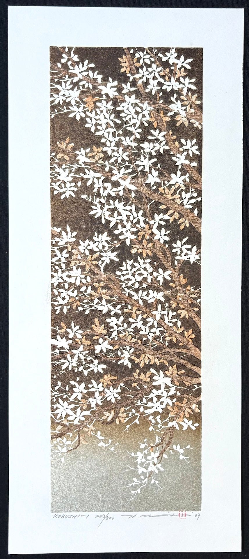  - Kobushi 1 (Kobushi Magnolia 1) - Hajime Namiki - SAKURA FINE ART