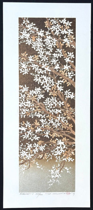  - Kobushi 1 (Kobushi Magnolia 1) - Hajime Namiki - SAKURA FINE ART