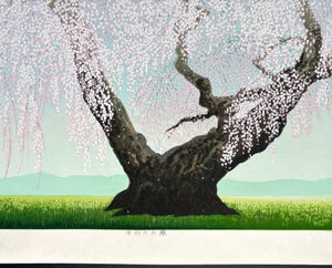  - Koshu Oito Zakura (The 300 - year - old Weeping Cherry Tree in Koshu) - Seiji Sano - SAKURA FINE ART