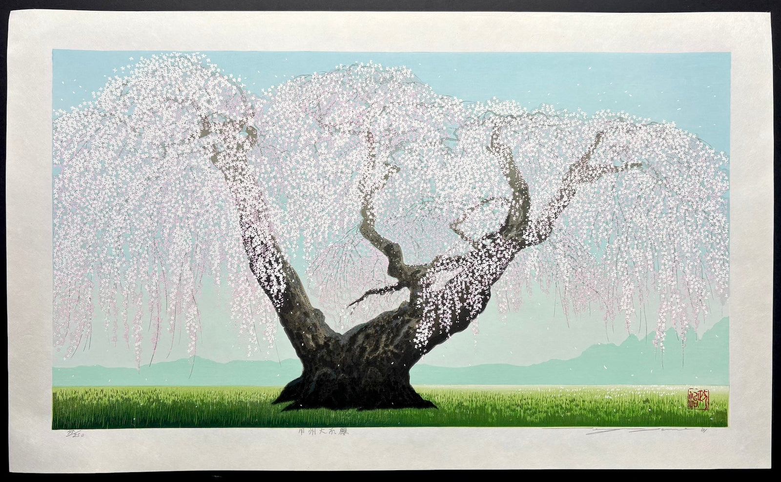  - Koshu Oito Zakura (The 300 - year - old Weeping Cherry Tree in Koshu) - Seiji Sano - SAKURA FINE ART
