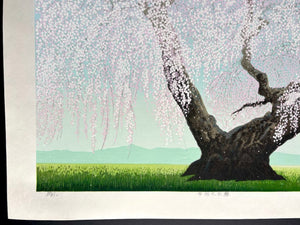  - Koshu Oito Zakura (The 300 - year - old Weeping Cherry Tree in Koshu) - Seiji Sano - SAKURA FINE ART