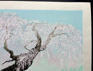  - Koshu Oito Zakura (The 300 - year - old Weeping Cherry Tree in Koshu) - Seiji Sano - SAKURA FINE ART
