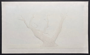  - Koshu Oito Zakura (The 300 - year - old Weeping Cherry Tree in Koshu) - Seiji Sano - SAKURA FINE ART