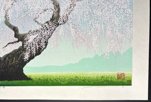  - Koshu Oito Zakura (The 300 - year - old Weeping Cherry Tree in Koshu) - Seiji Sano - SAKURA FINE ART