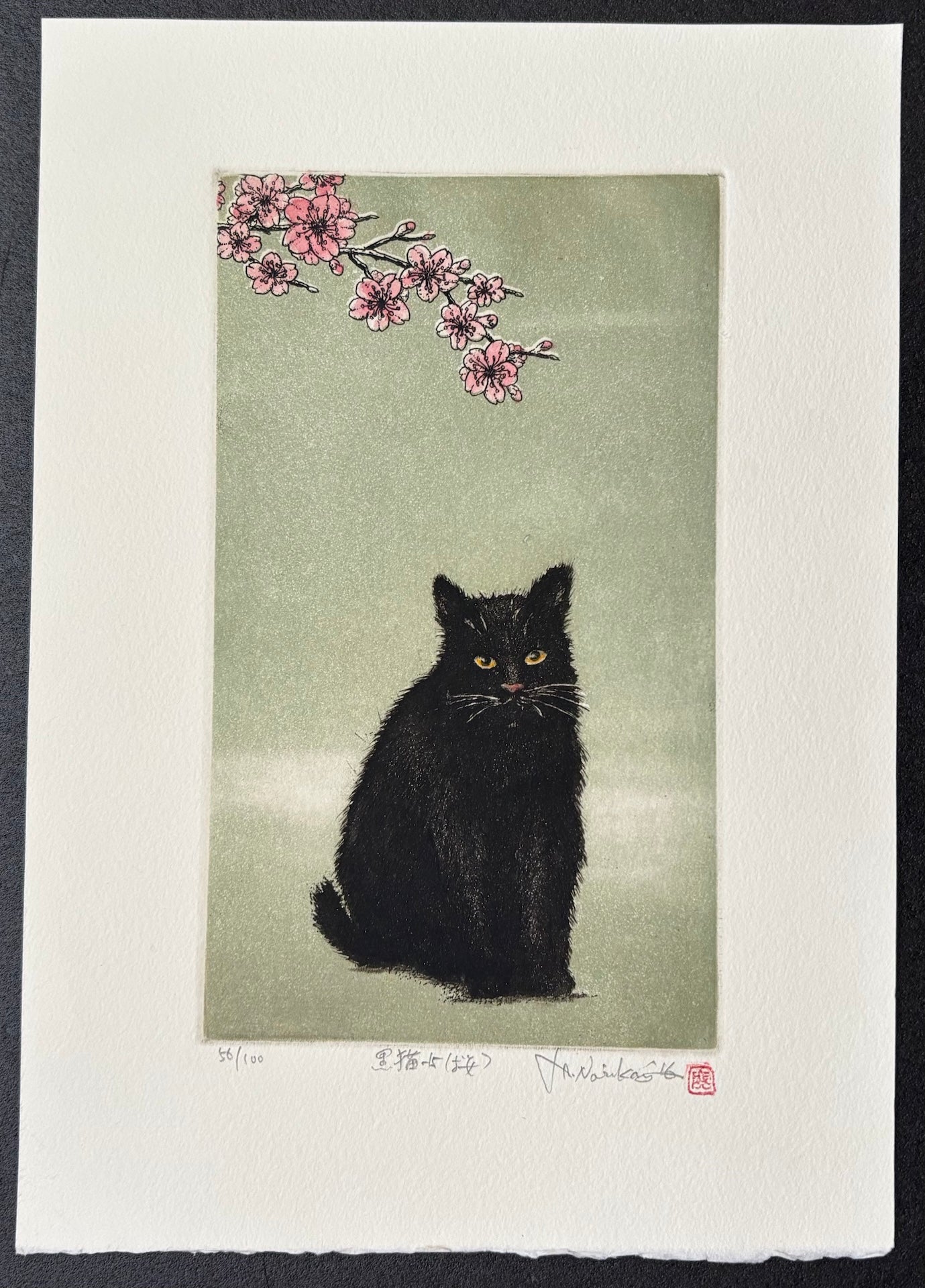 Kuroneko -15, Sakura (Black Cat 15, Cherry Blossoms) - Hiroto