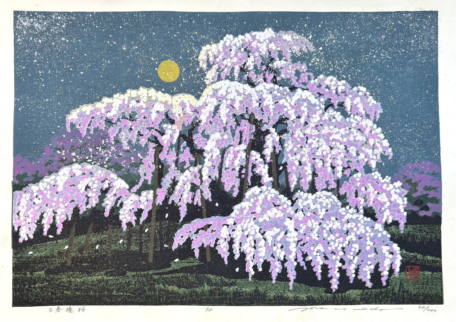 - Miharu Takizakura (Miharu Waterfall Cherry Tree at Night) -