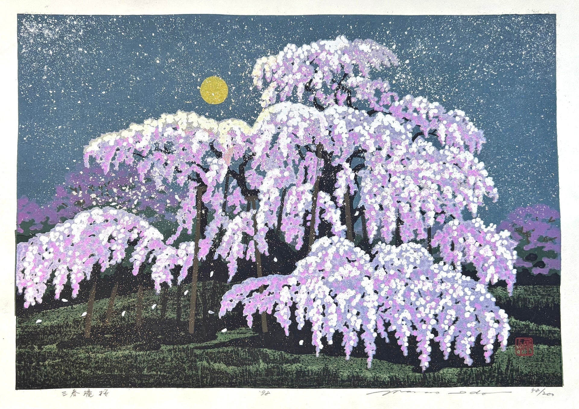 - Miharu Takizakura (Miharu Waterfall Cherry Tree at Night) -
