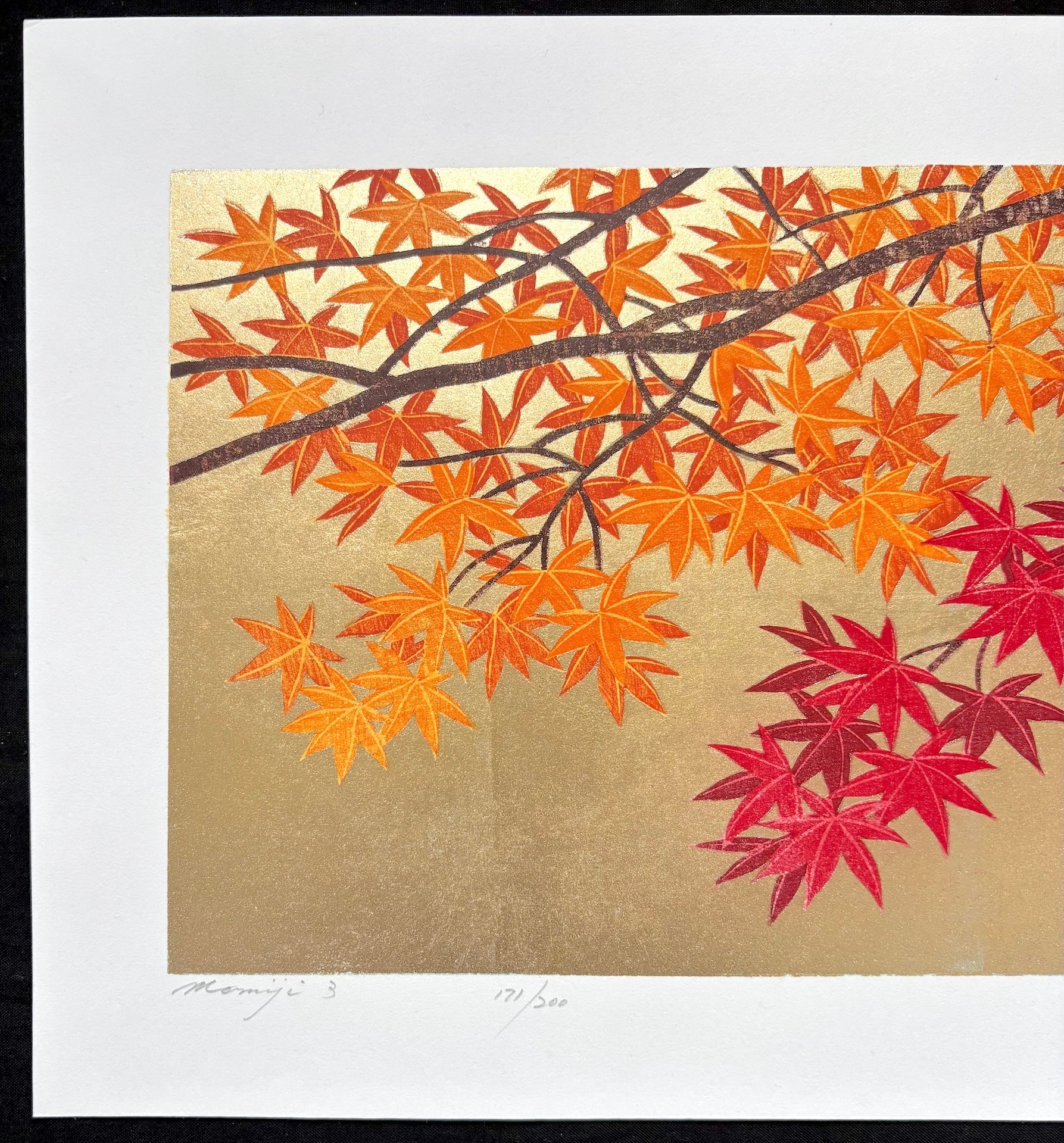  - Momiji 3 - Hajime Namiki - SAKURA FINE ART