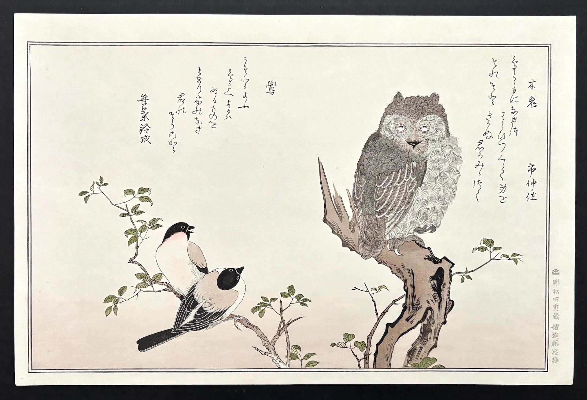  - Momochidori Kyoka Awase (Myriad Birds: A Kyoka Competition, Owl and Japanese Bullfinch) - SAKURA FINE ART