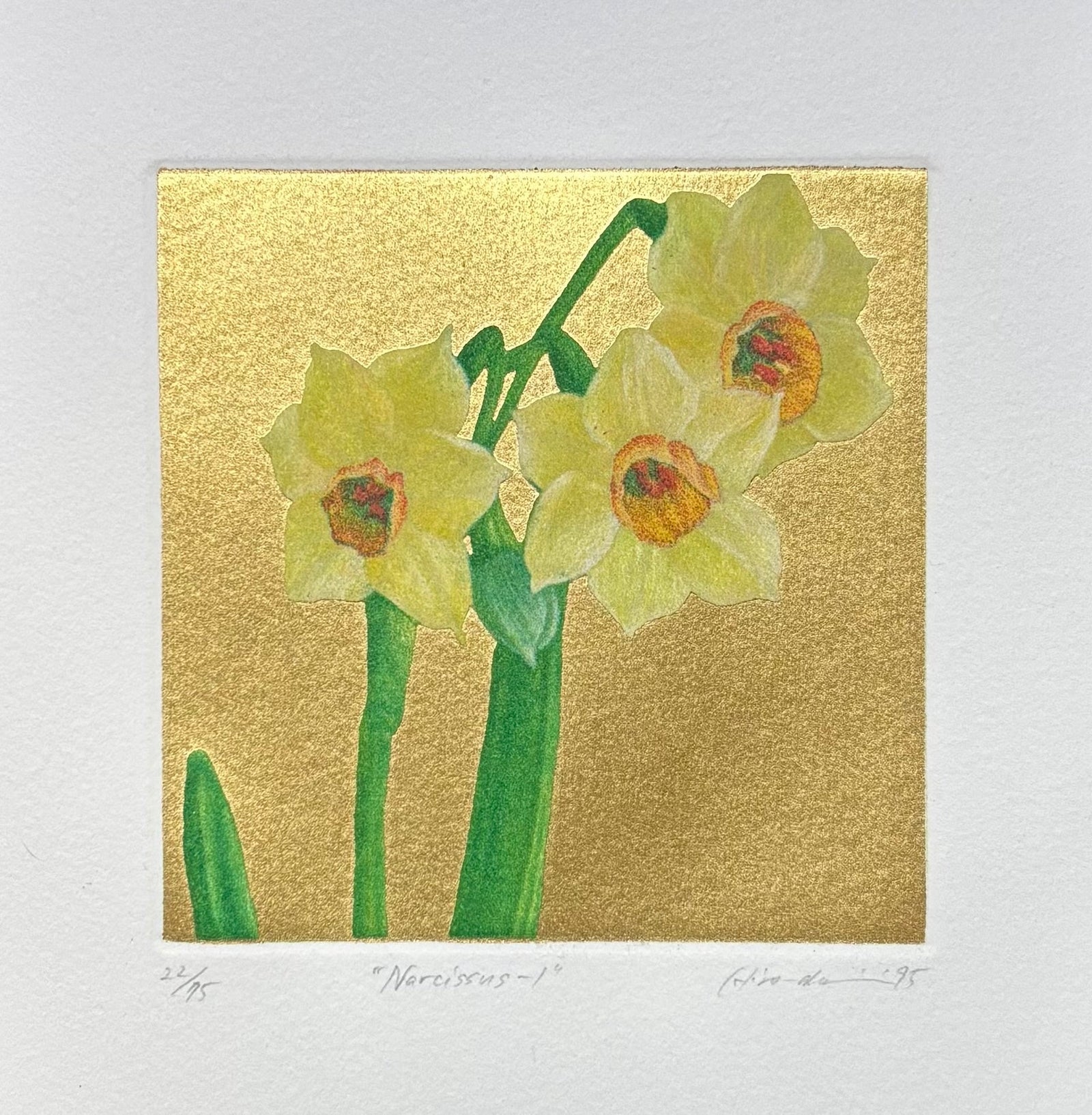  - Narcissus - 1 - Hiroaki Miyayama - SAKURA FINE ART