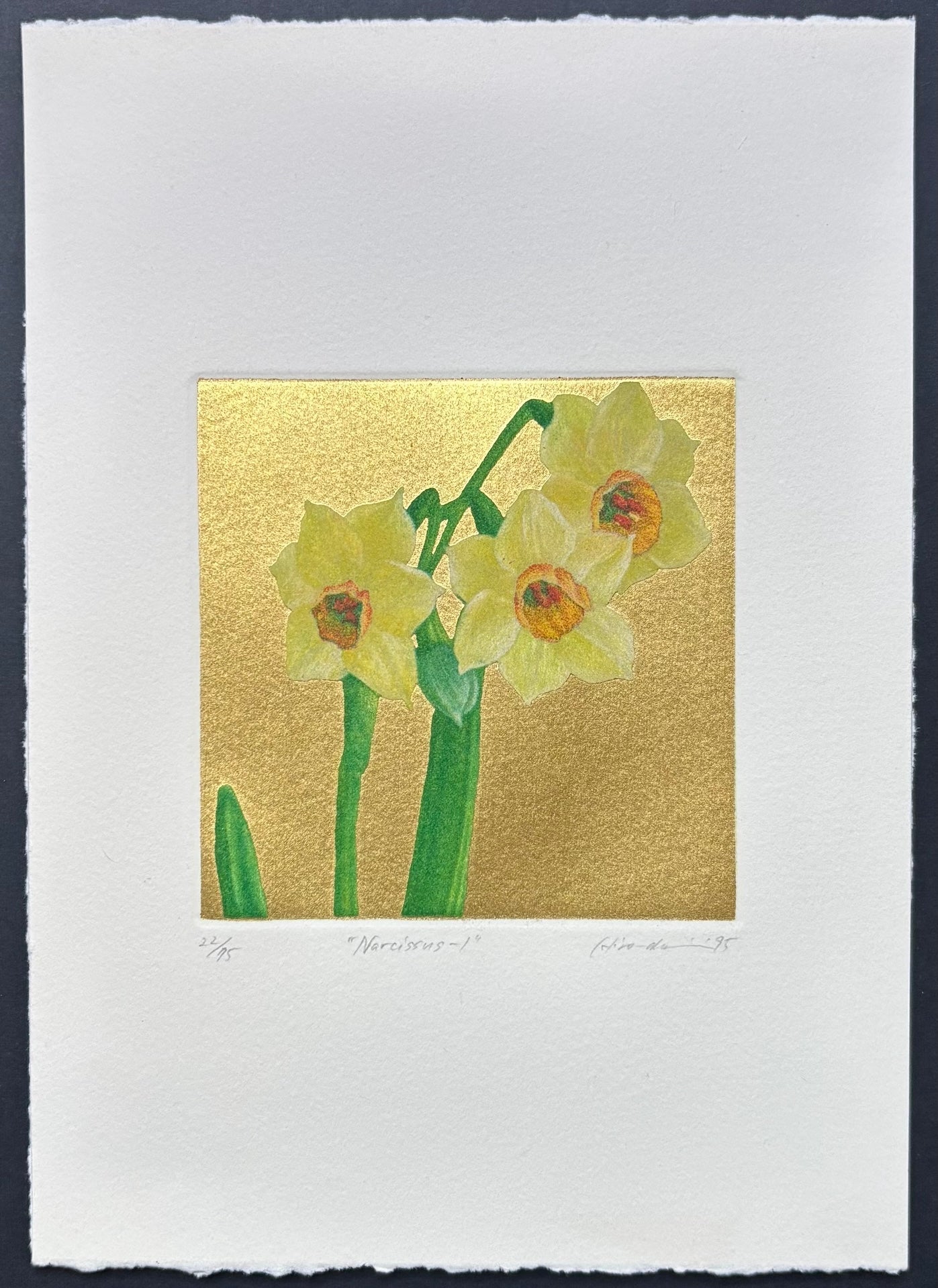  - Narcissus - 1 - Hiroaki Miyayama - SAKURA FINE ART