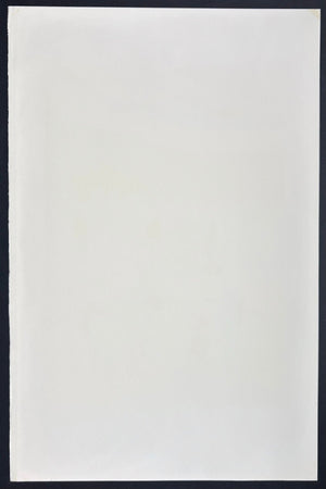  - Nobukata Sumo (Nobukata Sumo Festival, Ibaraki) - Masaaki Tanaka - SAKURA FINE ART