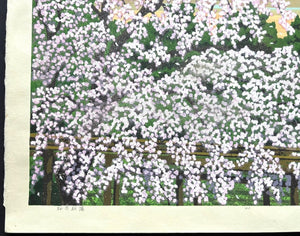  - Ouka Choyo (Cherry Blossoms at Dawn) - Masao Ido - SAKURA FINE ART