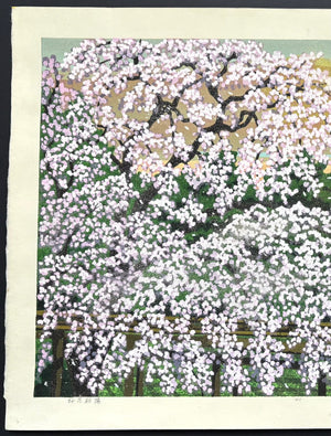  - Ouka Choyo (Cherry Blossoms at Dawn) - Masao Ido - SAKURA FINE ART