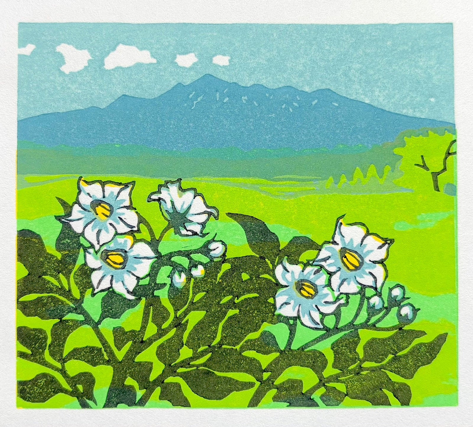  - Potato Flowers and the Mountain - Koho Ohuchi - SAKURA FINE ART