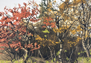  - ROADSIDE Aki no Shigemi (Autumn Bushes by the Roadside), 1977 - Shogo Okamoto - SAKURA FINE ART