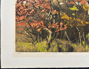  - ROADSIDE Aki no Shigemi (Autumn Bushes by the Roadside), 1977 - Shogo Okamoto - SAKURA FINE ART