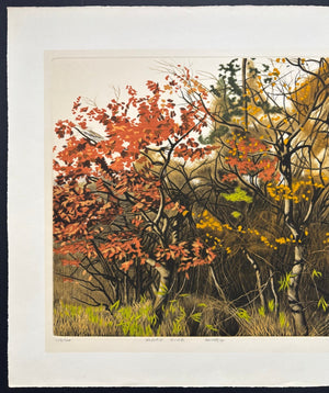  - ROADSIDE Aki no Shigemi (Autumn Bushes by the Roadside), 1977 - Shogo Okamoto - SAKURA FINE ART