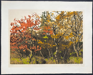  - ROADSIDE Aki no Shigemi (Autumn Bushes by the Roadside), 1977 - Shogo Okamoto - SAKURA FINE ART