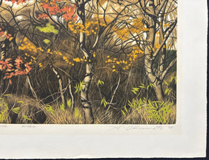  - ROADSIDE Aki no Shigemi (Autumn Bushes by the Roadside), 1977 - Shogo Okamoto - SAKURA FINE ART