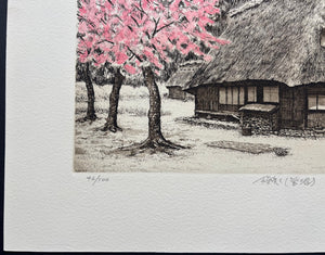  - Sakura Saku - Suganuma (Cherry Blossoms in Full Bloom in Suganuma) - Hiroto Norikane - SAKURA FINE ART