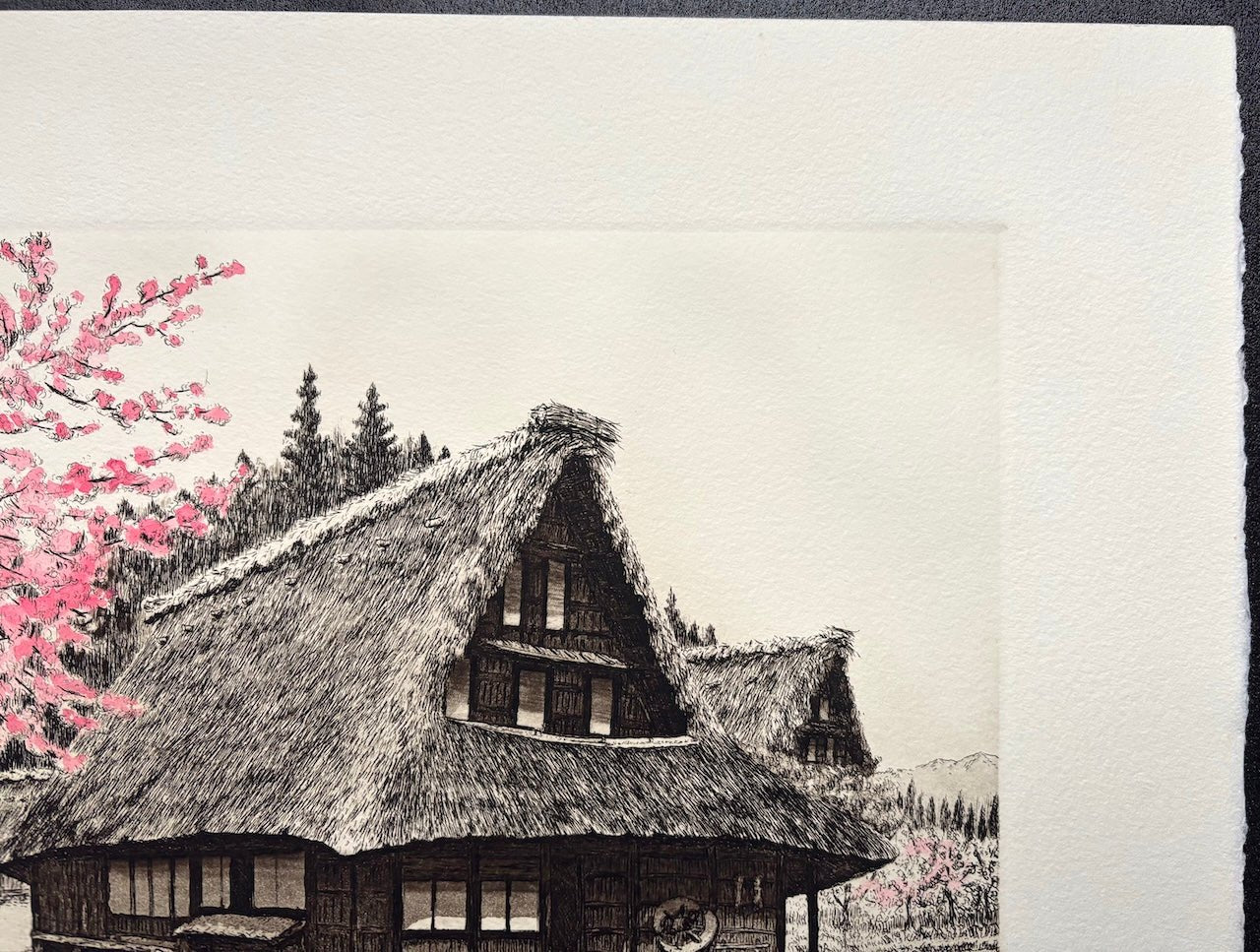 Sakura Saku -Suganuma (When the Cherry Blossoms Bloom in Suganuma