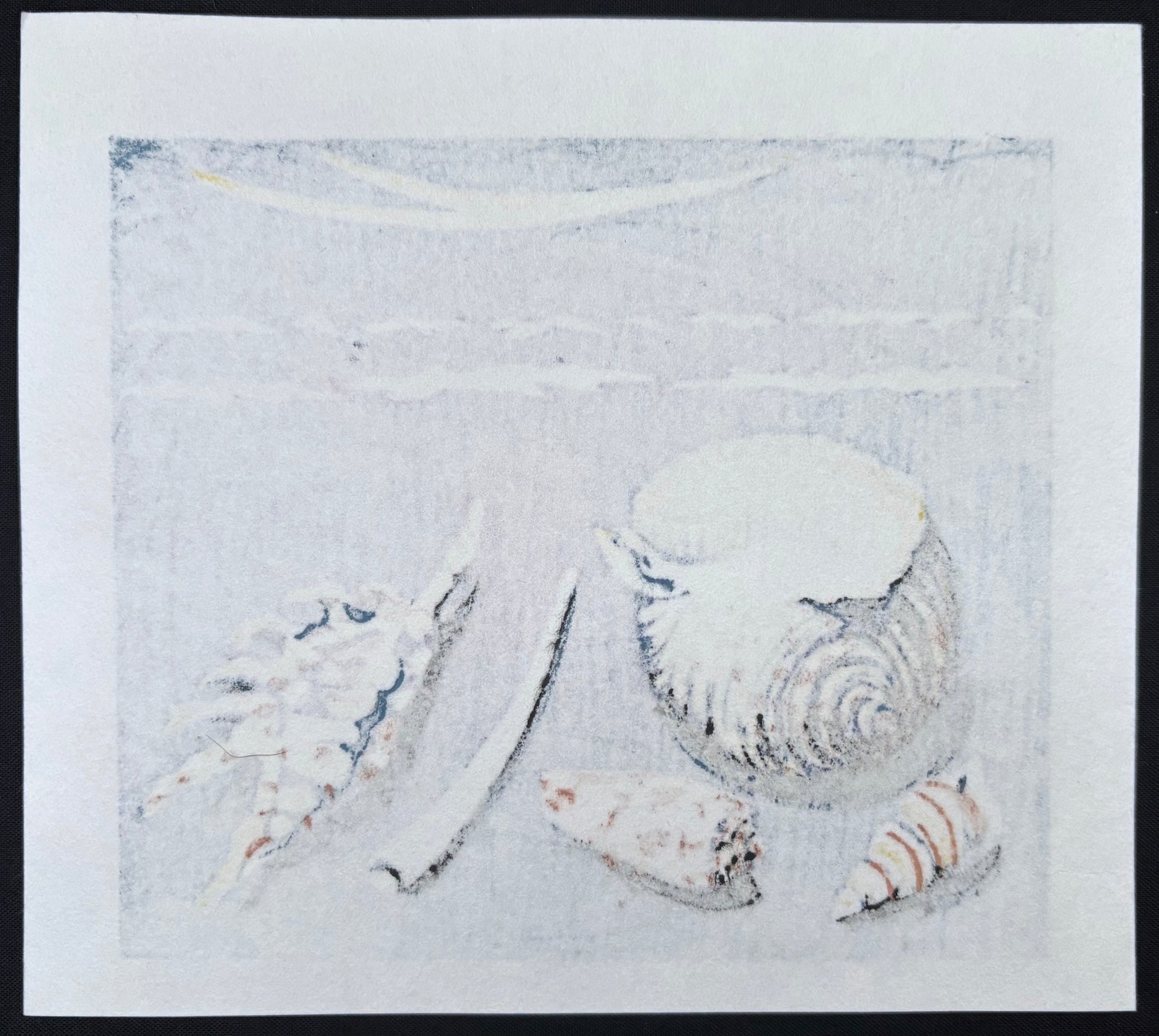  - Seashells - Fumio Kitaoka - SAKURA FINE ART