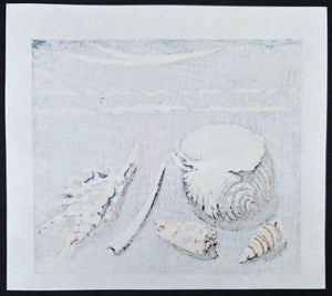  - Seashells - Fumio Kitaoka - SAKURA FINE ART