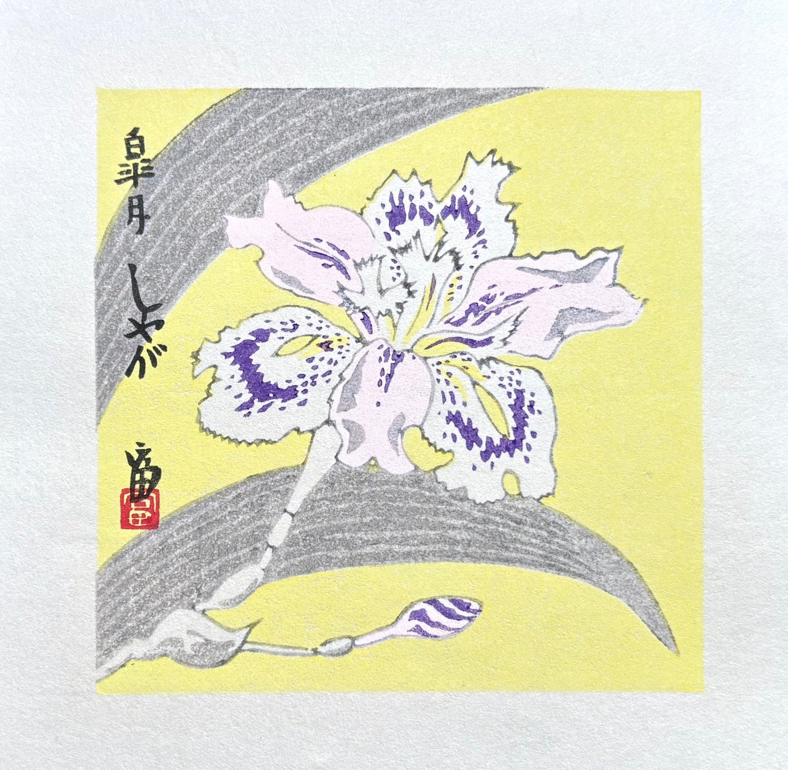 - Shaga - Satsuki (Fringed Iris – May) - Tomikichiro Tokuriki - SAKURA FINE ART